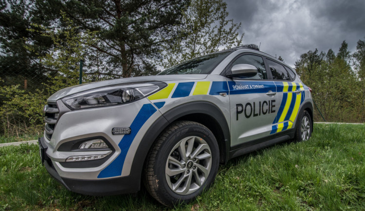 Z procházky se vrátil jenom pes. Pohřešovaného seniora našli podchlazeného v kempu