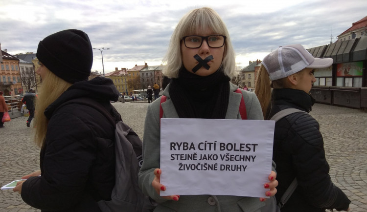 Na jihlavském náměstí se tiše protestovalo proti zabíjení kaprů na Vánoce