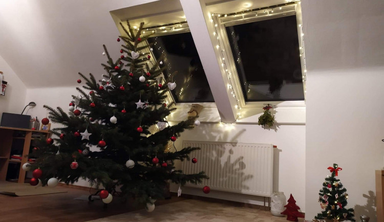 Hlasujte v soutěži o nejhezčí vánoční stromeček!