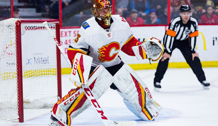 Brankáři Davidu Rittichovi nucená pauza pomohla, doma v Jihlavě doléčil loket a dohnal resty na domě