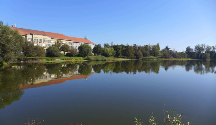 Z nedělního koupání tragická událost, v třebíčském rybníku utonul osmnáctiletý mladík