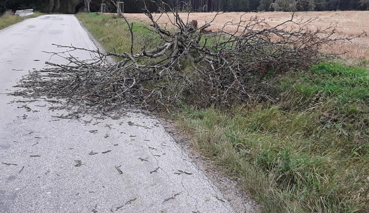 Kvůli silnému větru je na Vysočině bez elektřiny asi tisícovka míst