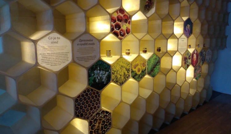 FOTO: Cenu Patria Nostra získal ve Středočeském kraji Včelí svět v Hulicích