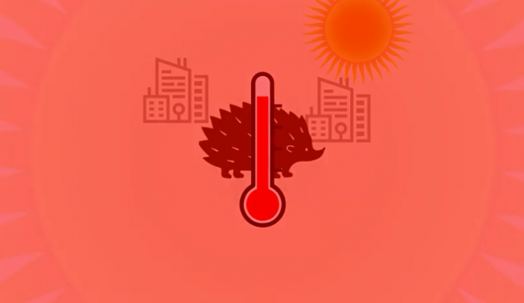 Pojďte diskutovat o změnách klimatu v Jihlavě. Virtuální kavárna se koná v pondělí v 17 hodin