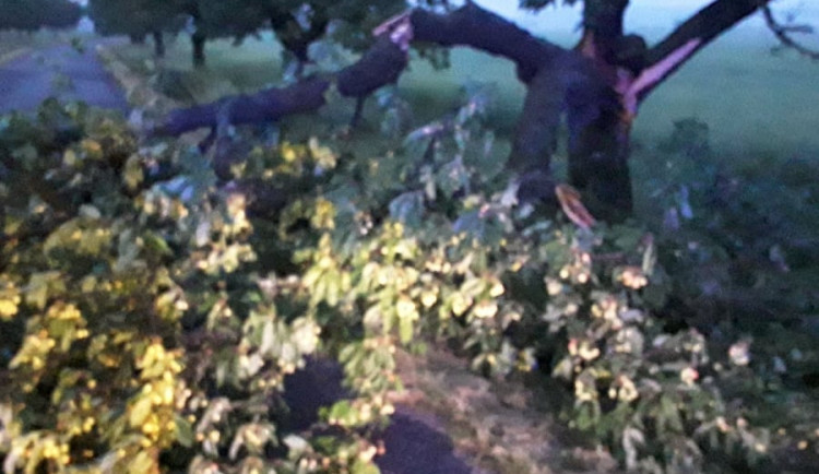 Hasiči v permanenci: Po bouřkách odstraňují stromy a větve na silnicích, odčerpávají zatopené sklepy