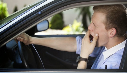 Mladý řidič usnul za volantem, u Dušejova narazil do náletových dřevin