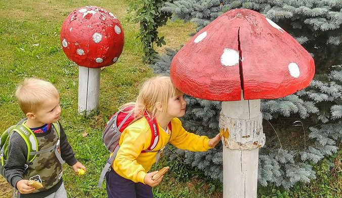 Tip na výlet. Malé i velké houby v obci Kněževes, děti potěší hřiště i stezka s úkoly