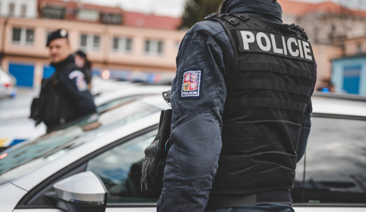 Řidič Octavie na Jihlavsku narazil do stromu, který se zlomil. Pak utekl