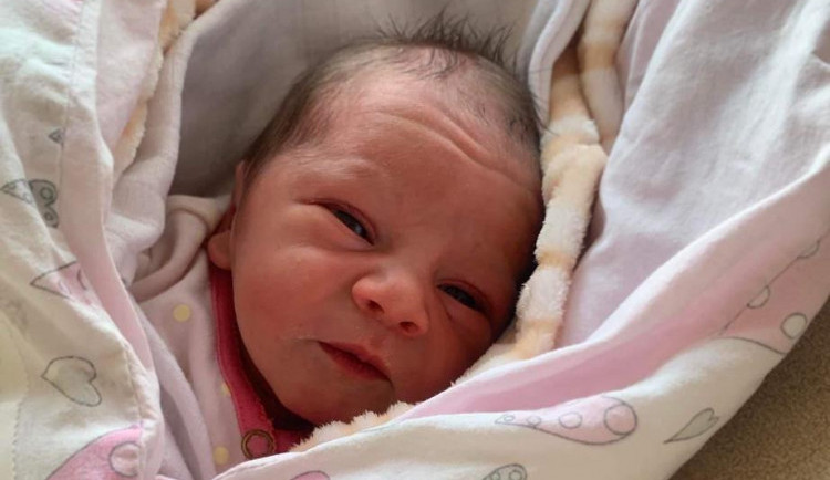 Několik nej z brodské porodnice. Nejtěžším miminkem byl šestikilový Štěpán, nejoblíbenější loňské jméno je Eliška a Matyáš