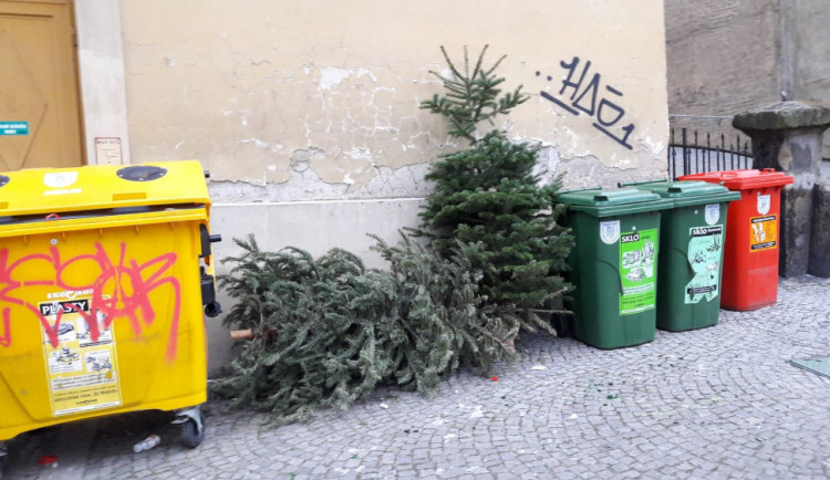 U popelnic v Jihlavě se hromadí odstrojené stromečky, chystá se svoz. Pozor na zapomenuté háčky a ozdoby