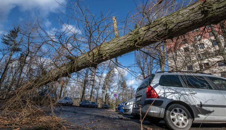 Bilance včerejšího větru v Jihlavě: Stržená střecha muzea, borovice na taxíku, 23 výjezdů hasičů