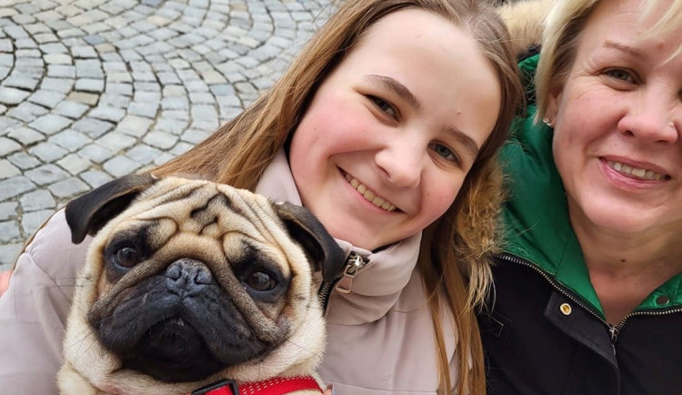 Našly azyl v Jihlavě, přišly o psa. Jihlavané se zapojili do pátrání po mopsovi dvou Ukrajinek, ten se našel