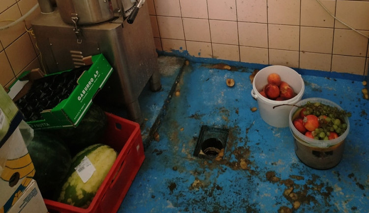 Prošlé jídlo, špinavé nádobí, trus ve skladu. Hygienici v kraji našli řadu pochybení na jednom z letních táborů