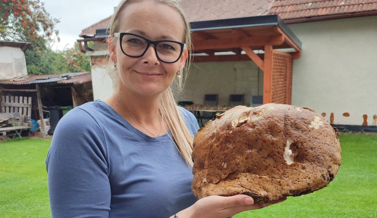 Facebook zaplavily fotky hub. Z kotrče děláme výbornou polévku na způsob dršťkové, říká houbařka z Jihlavska