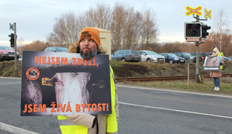 VIDEO: U jatek v Kostelci dnes stáli aktivisté. Lidé nechtějí změnit své myšlení, říká mladá veganka
