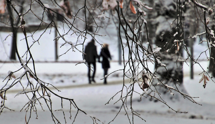 Únor na Vysočině očima meteorologů. Velké teplotní výkyvy, dvanáct dní se sněhem