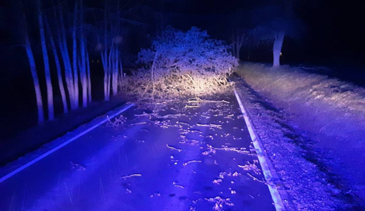 Na Vysočině v noci úřadoval silný vítr. Hasiči mají na kontě od půlnoci přes 30 výjezdů, na Žďársku havaroval autobus