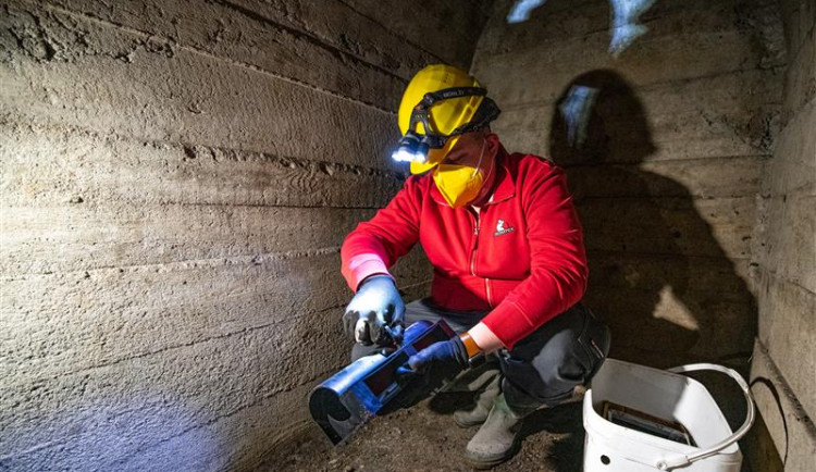 Jihlavu v dubnu čeká plošná deratizace. Důležitá bude pomoc veřejnosti