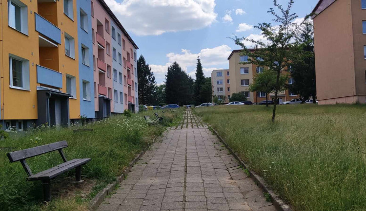 POLITICKÁ KORIDA: Prokletá vysoká tráva. Kde se stala největší chyba?