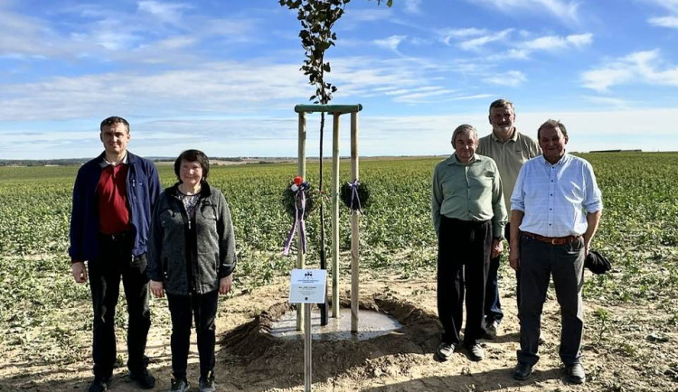 Na Třebíčsku vznikla nová alej připomínající československé válečné parašutisty
