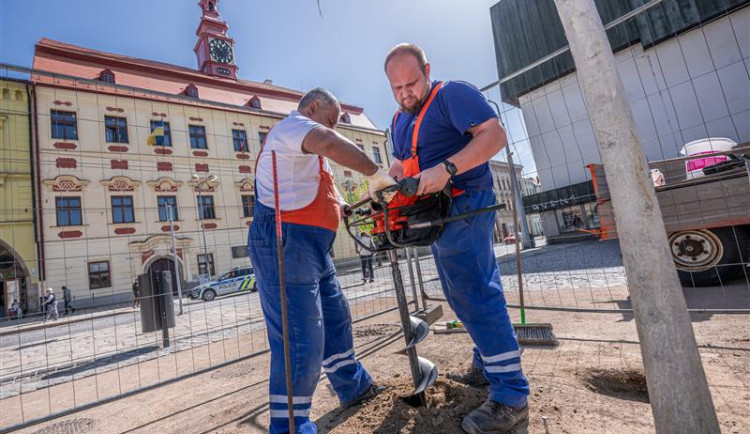 Odpočinek na jihlavském náměstí. V pokojíčku se lidé již brzy posadí na nové kruhové lavičky