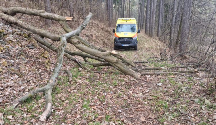Dva úrazy při těžbě dřeva během soboty: Záchranáři v akci od rána do odpoledne