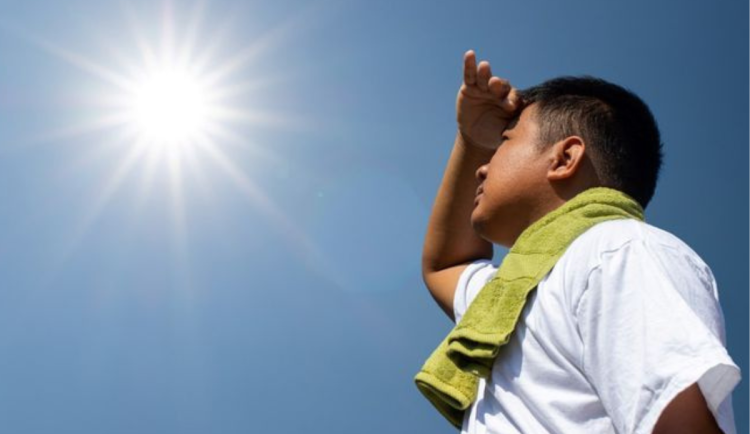 Léto, jaké nebývalo. Výstrahy nejsou přehnané, tropických dnů totiž přibývá