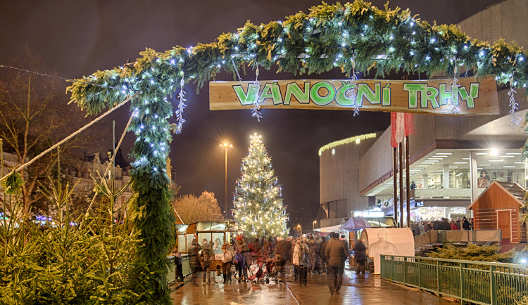 Karlovy Vary hledají vánoční strom. Ozdobou se může stát i jehličnan z vaší zahrady