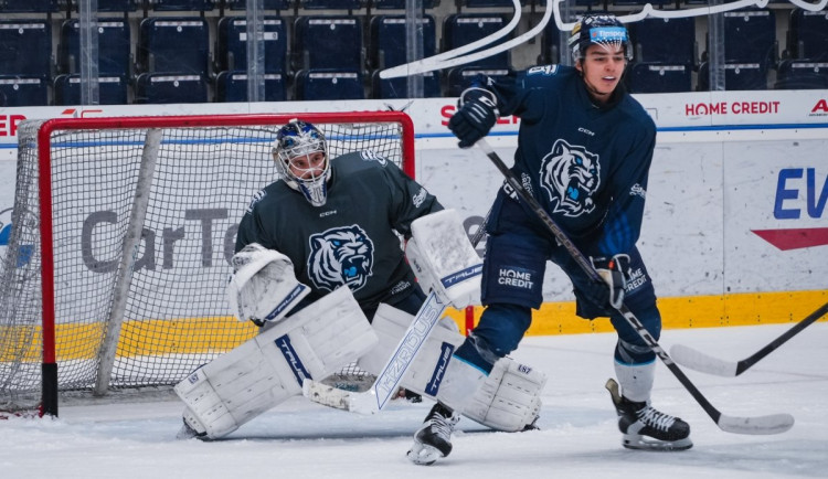 Gólmanskou dvojici Bílých Tygrů doplní zkušený Lukeš. Hamalčík je mimo hru