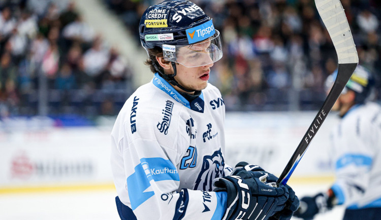 Liberecký hokejista Pytlík si v derby poranil koleno. Tygrům bude scházet 6 týdnů