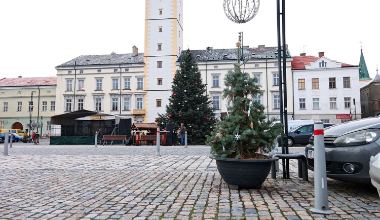 Za 20 let se možná vrátí. Litovel bude pečovat o živé vánoční stromečky z náměstí