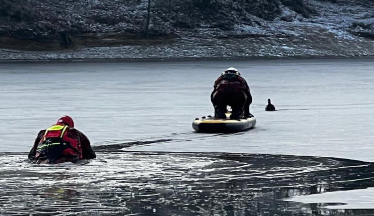Zásah hasičů na jablonecké přehradě. Kachna na hladině přimrzla k ledu