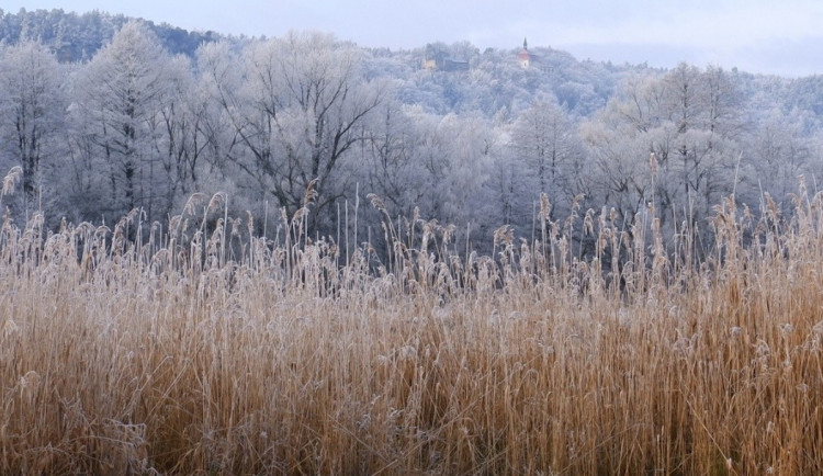 Ochránci přírody vykoupili pozemky v údolí říčky Libuňky. Na výkup přispěli dárci